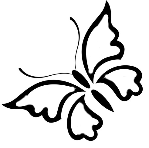 butterfly1
